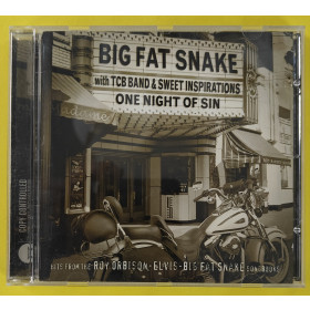 Big Fat Snake - One Night Of Sin