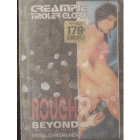 Rough & Beyond