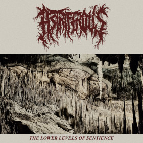 Astriferous – The Lower Levels of Sentience 12"