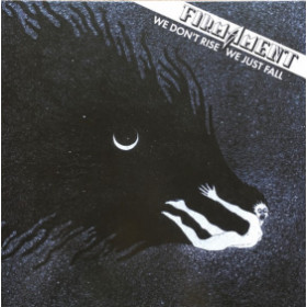 Firmament - We Don't Rise, We Just Fall 12"