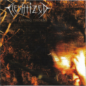 Fleshtized – Here Among Thorns CD