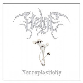 Helge – Neuroplasticity 12"