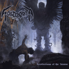 Schizophrenia - Recollections of the Insane 12"