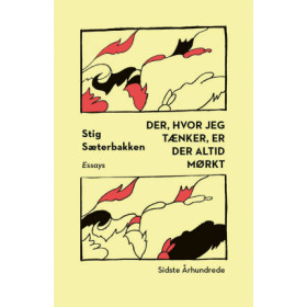 Stig Sæterbakken: Der, hvor jeg tænker, er der altid mørkt