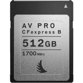 ANGELBIRD AV PRO CFexpress 512GB | 1 PACK