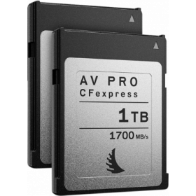 ANGELBIRD Match Pack for Nikon D6 1TB | 2 PACK