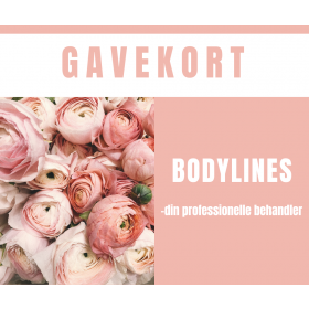 Gavekort 400,-
