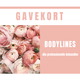 Gavekort 800,-