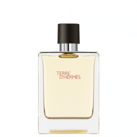 Terre D'Hermes Eau De Toilette 100ml
