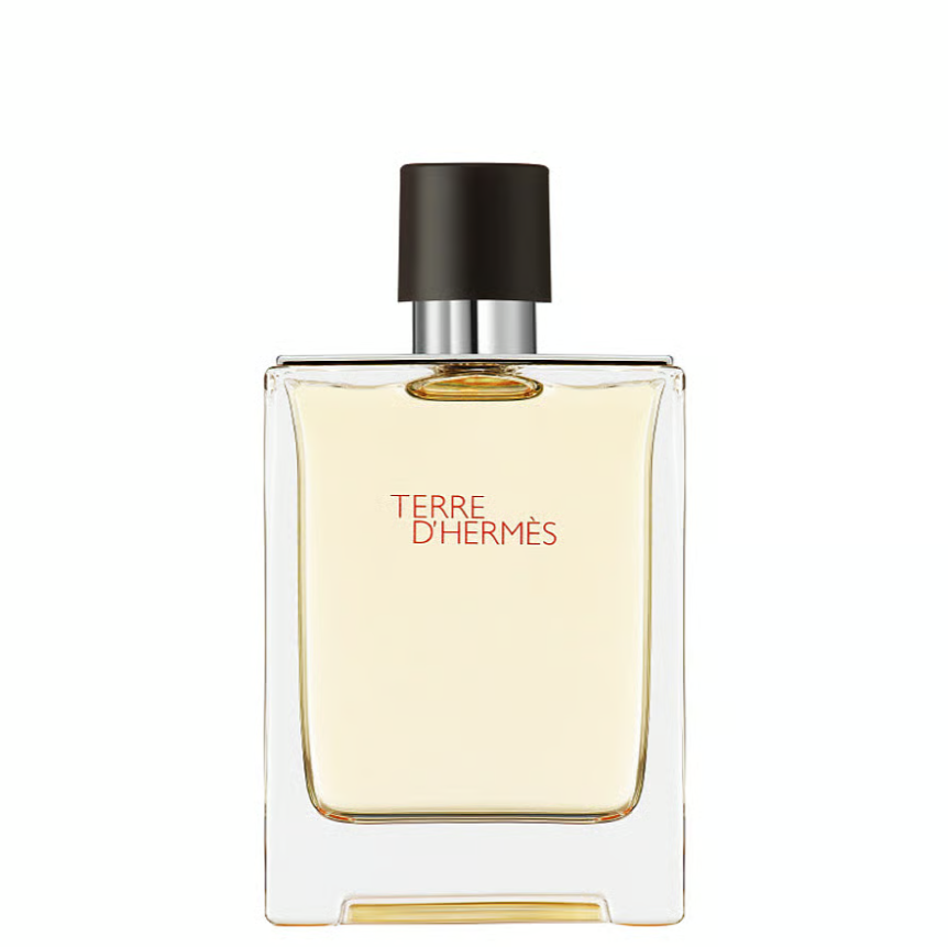 Terre D'Hermes Eau De Toilette 100ml