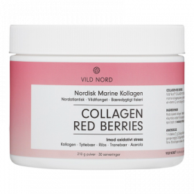 COLLAGEN RED BERRIES 210G