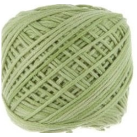 NIKKIM Avocado