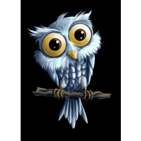 44273. Diamond painting sæt ugle 30x40cm VC428