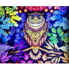 45013. Diamond painting ugle kunst 30x40cm