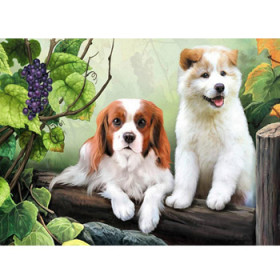 45018. Diamond painting hunde 30x40cm